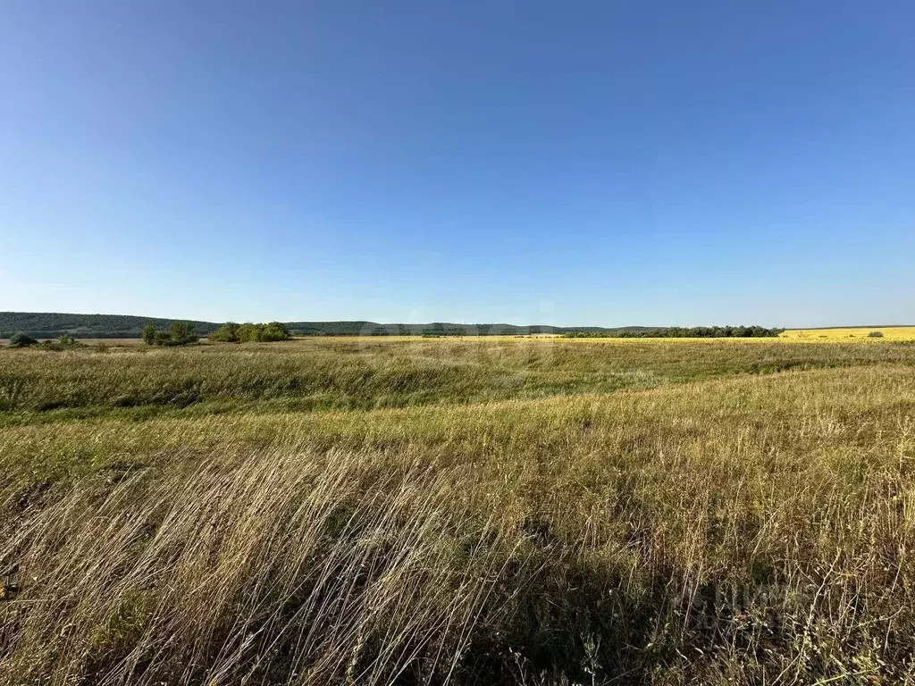 Участок в Саратовская область, Новобурасское муниципальное ... - Фото 1
