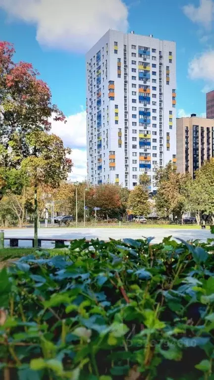 2-к кв. Москва Зеленый просп., 97А (54.0 м) - Фото 1