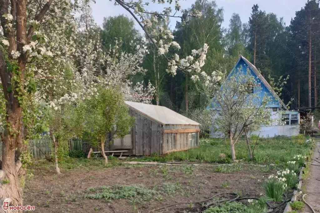 Участок 4сот. (СНТ, ДНП) - Фото 0