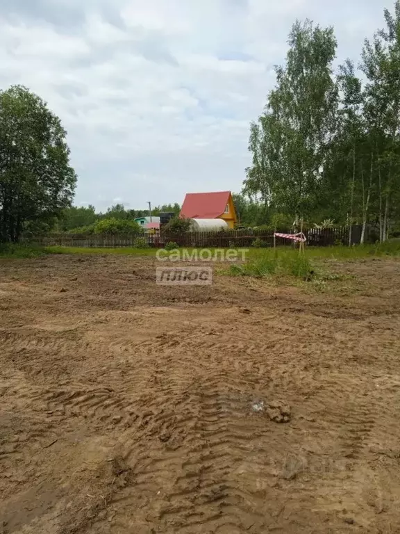 Участок в Вологодская область, Шограш садоводческое товарищество ул. ... - Фото 2