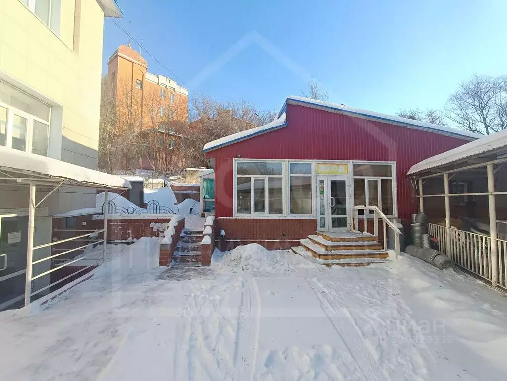 Помещение свободного назначения в Омская область, Омск ул. Пушкина, 2 ... - Фото 2