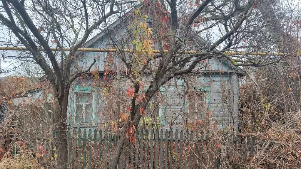 Дом в Белгородская область, Красногвардейский район, Засосенское ... - Фото 1