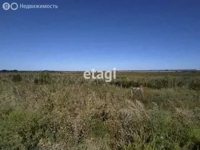 Участок в Ростов-на-Дону, дачное некоммерческое товарищество Геолог (5 ... - Фото 1