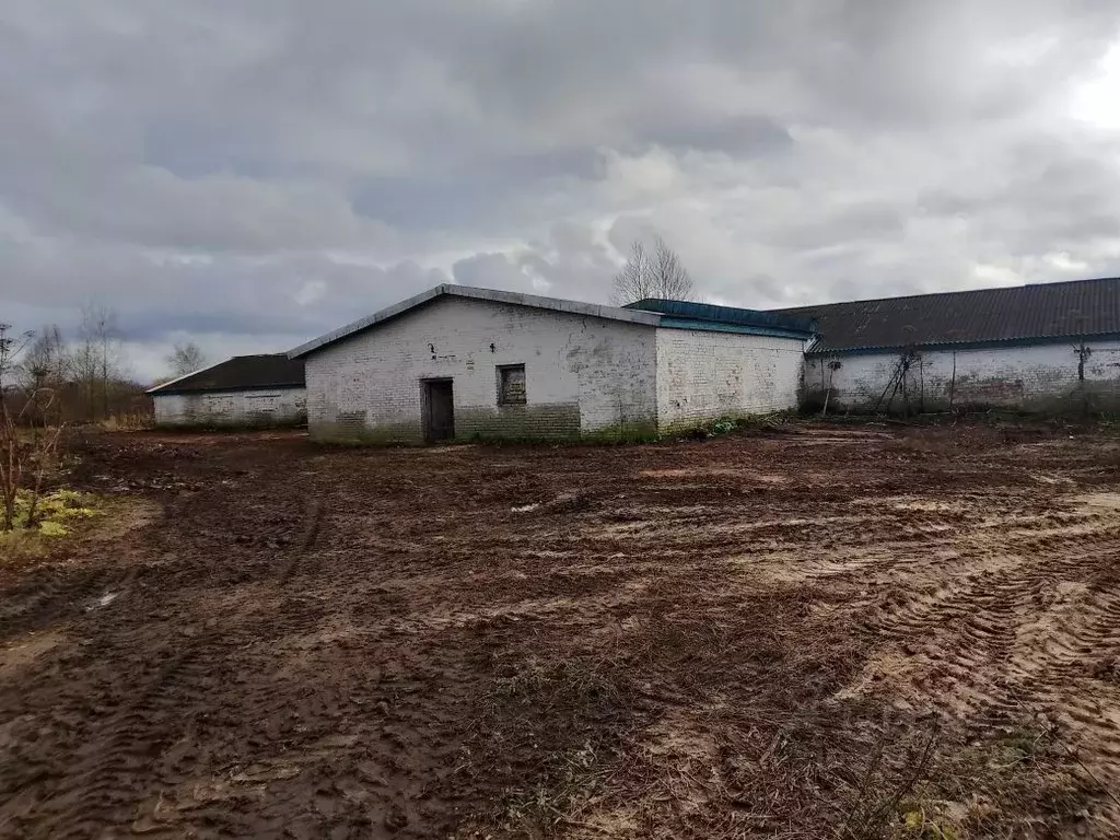 Помещение свободного назначения в Псковская область, Палкинская ... - Фото 1