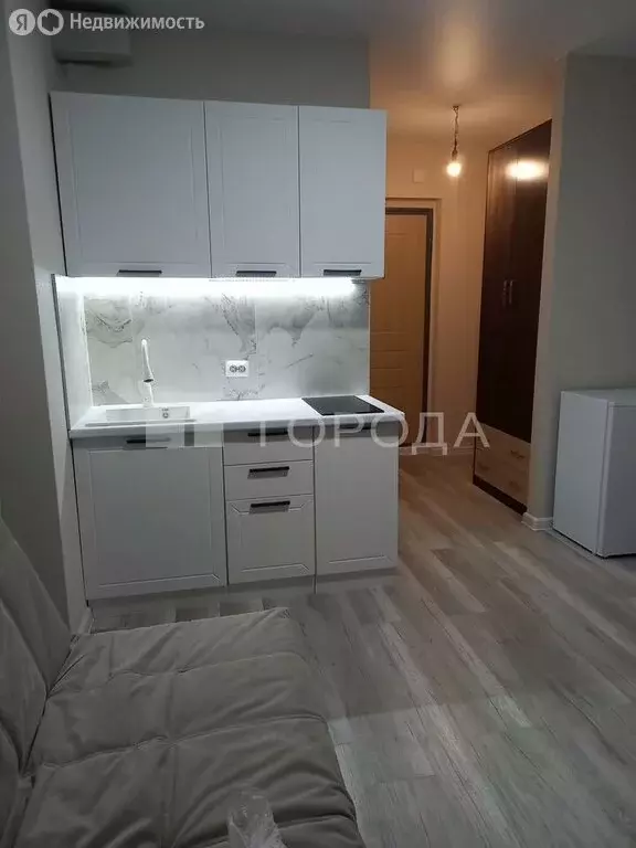 Квартира-студия: Новосибирск, Спортивная улица, 29 (17.9 м) - Фото 1
