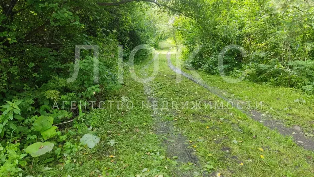 Участок в Кемеровская область, Новокузнецкий муниципальный округ, с. ... - Фото 1