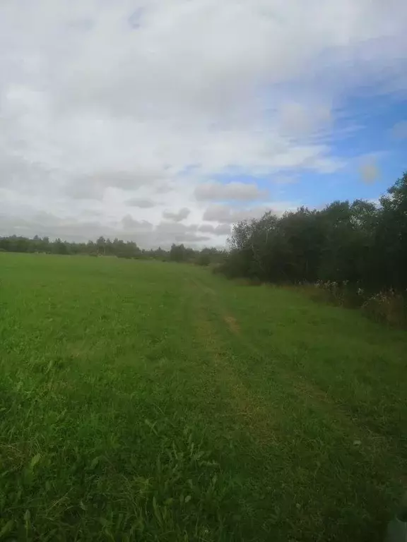 Участок в Московская область, Шаховская муниципальный округ, д. ... - Фото 1