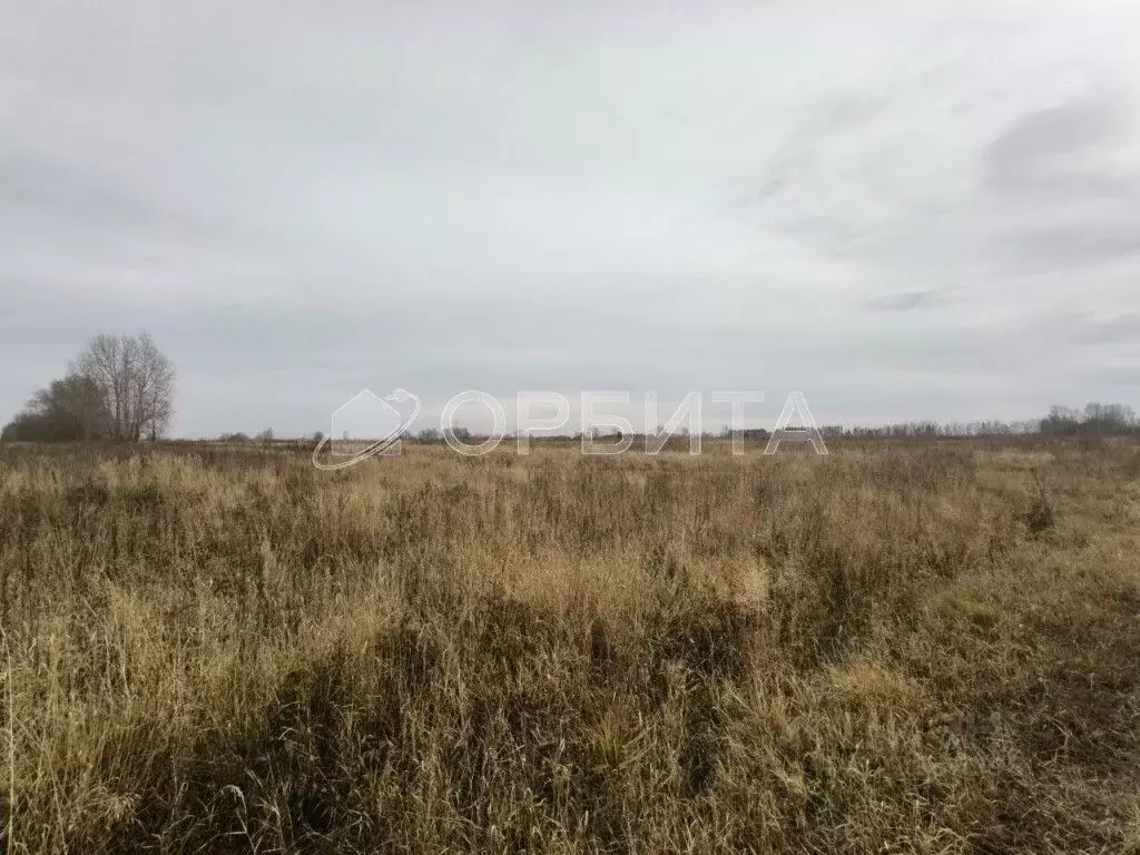 Участок в Тюменская область, Тюменский муниципальный округ, ... - Фото 1
