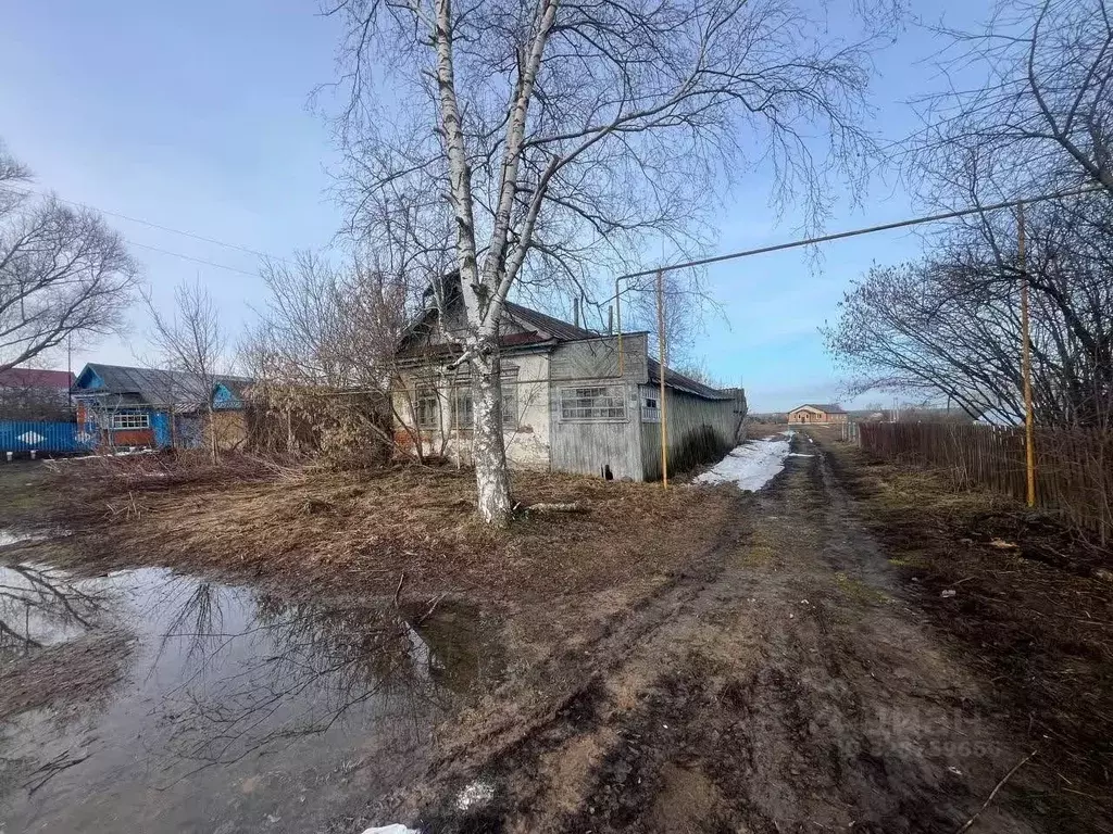 Участок в Мордовия, Ковылкинский район, Кочелаевское с/пос, с. ... - Фото 2