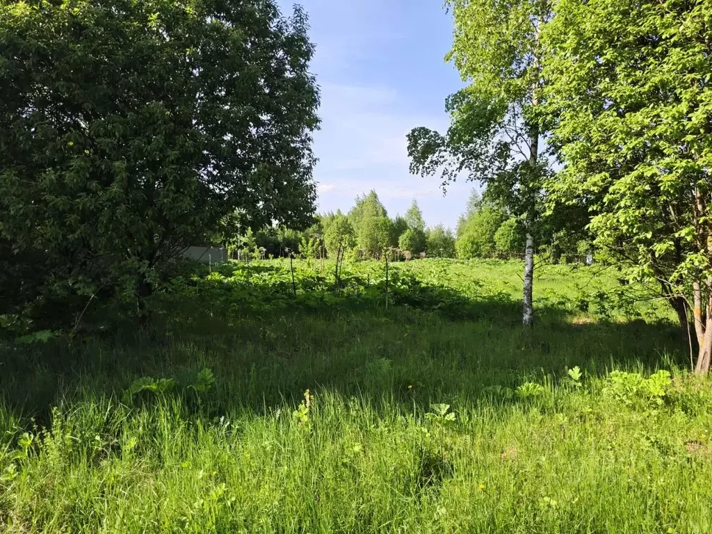 Участок в Тульская область, Заокский рп ул. Звездная, 21 (15.0 сот.) - Фото 1