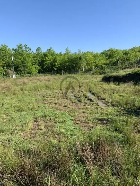 Участок в Краснодарский край, Туапсинский муниципальный округ, с. ... - Фото 2