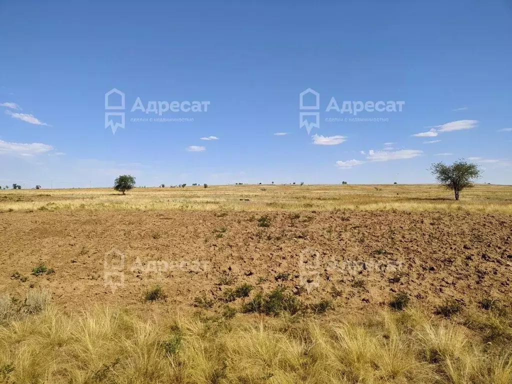 Участок в Волгоградская область, Волгоград Поселок Водный тер., ул. ... - Фото 1