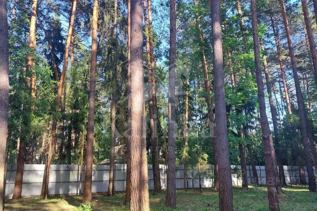 Участок в Московская область, Одинцовский городской округ, пос. дома ... - Фото 1