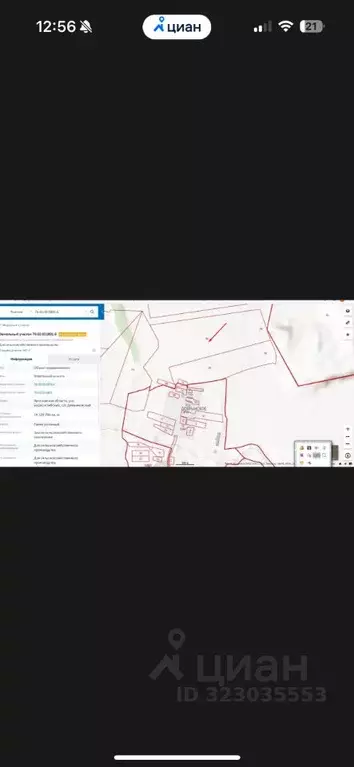 Участок в Ярославская область, Борисоглебский муниципальный округ, д. ... - Фото 2