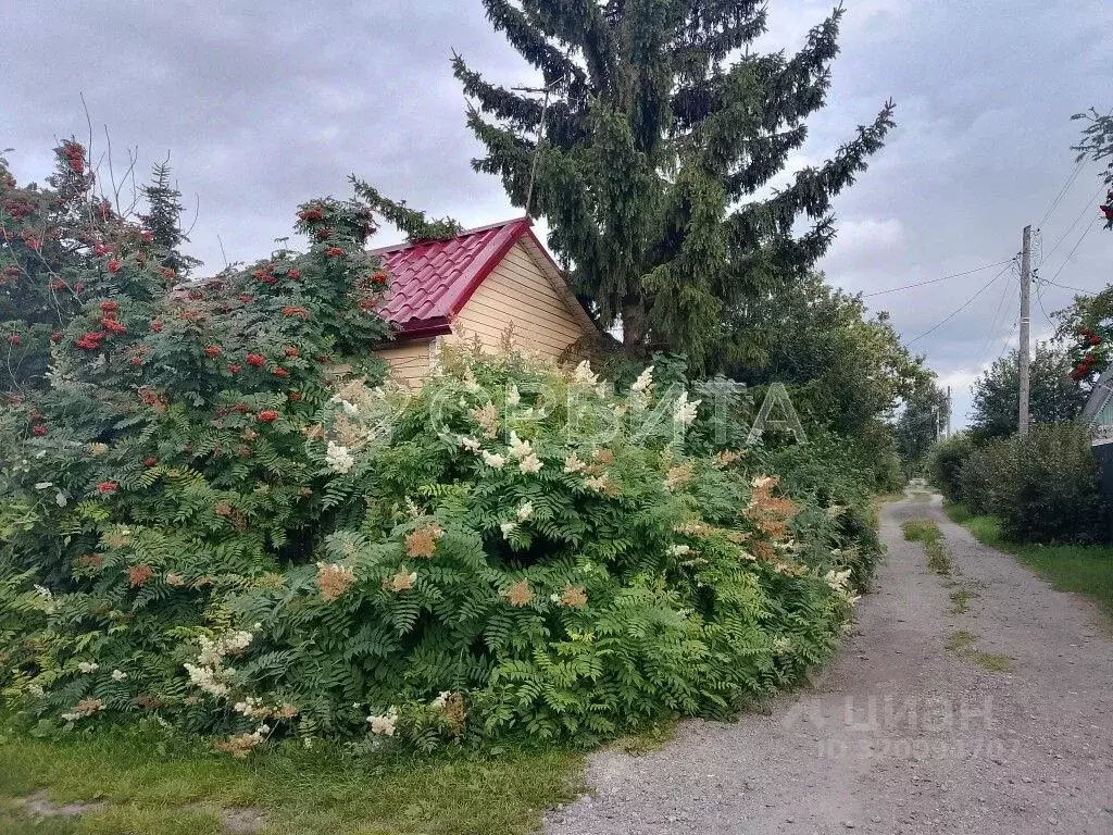 Дом в Тюменская область, Тюмень Автомобилист СНТ, ул. Рябиновая (30 м) - Фото 1
