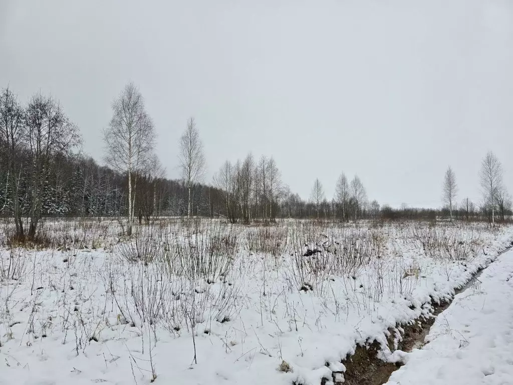 Участок в Московская область, Дмитровский городской округ, Раменье дп  ... - Фото 1