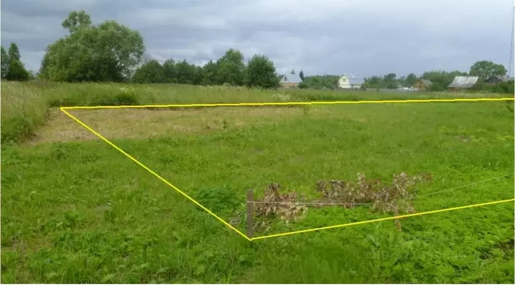 Участок в Нижегородская область, Нижний Новгород с. Шелокша, ул. ... - Фото 1