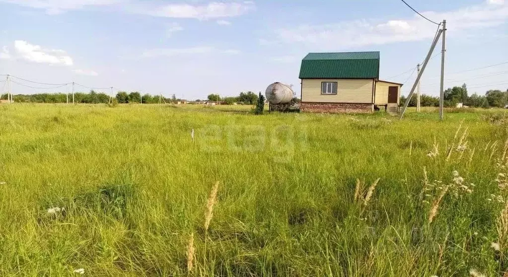 Участок в Саратовская область, Балашовский район, Хоперское ... - Фото 1