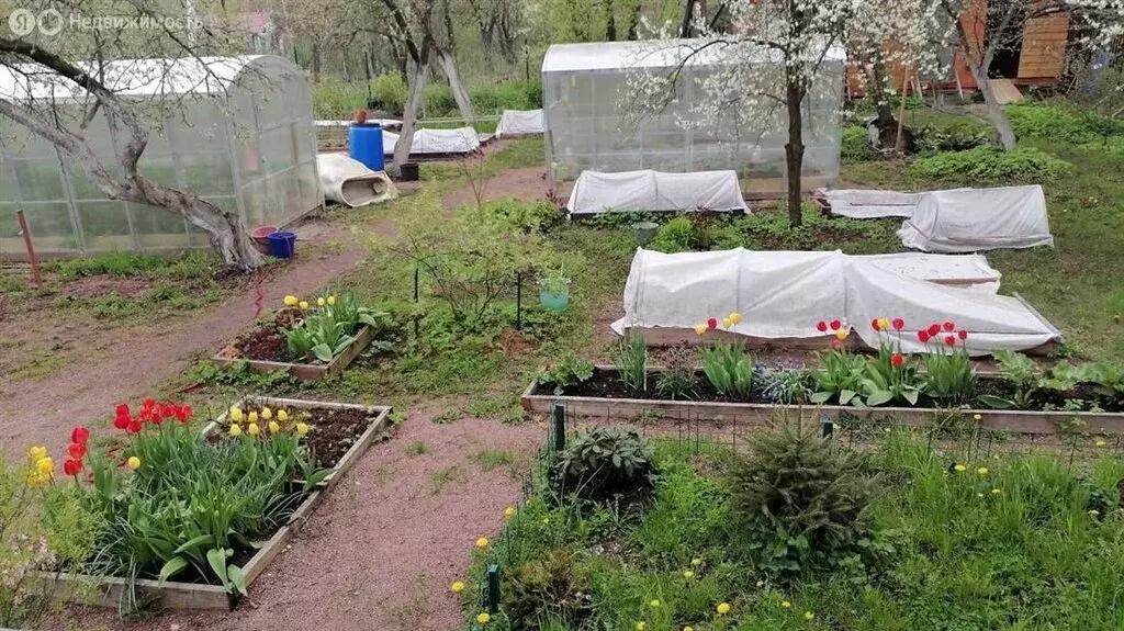 Дом в Ленинградская область, Гатчинский муниципальный округ, СТ ... - Фото 0