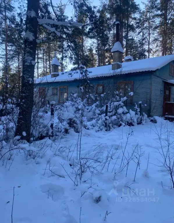 Помещение свободного назначения в Ленинградская область, Выборгский ... - Фото 1