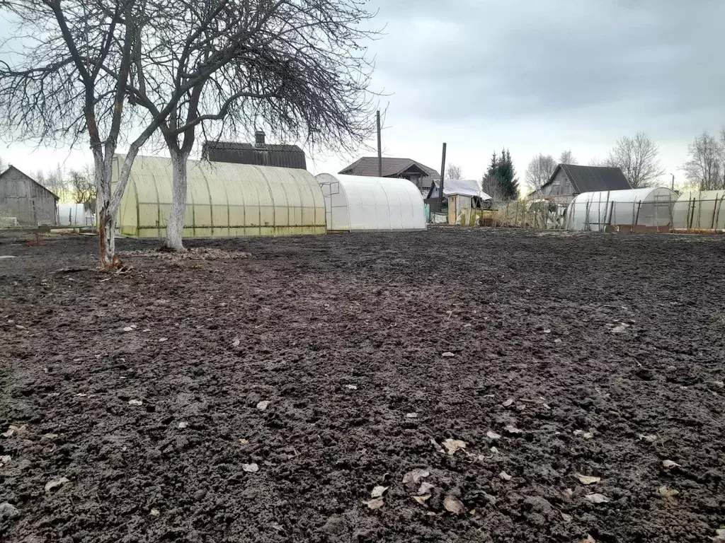 Участок в Ленинградская область, Никольское Тосненский район, Лесное-1 ... - Фото 2