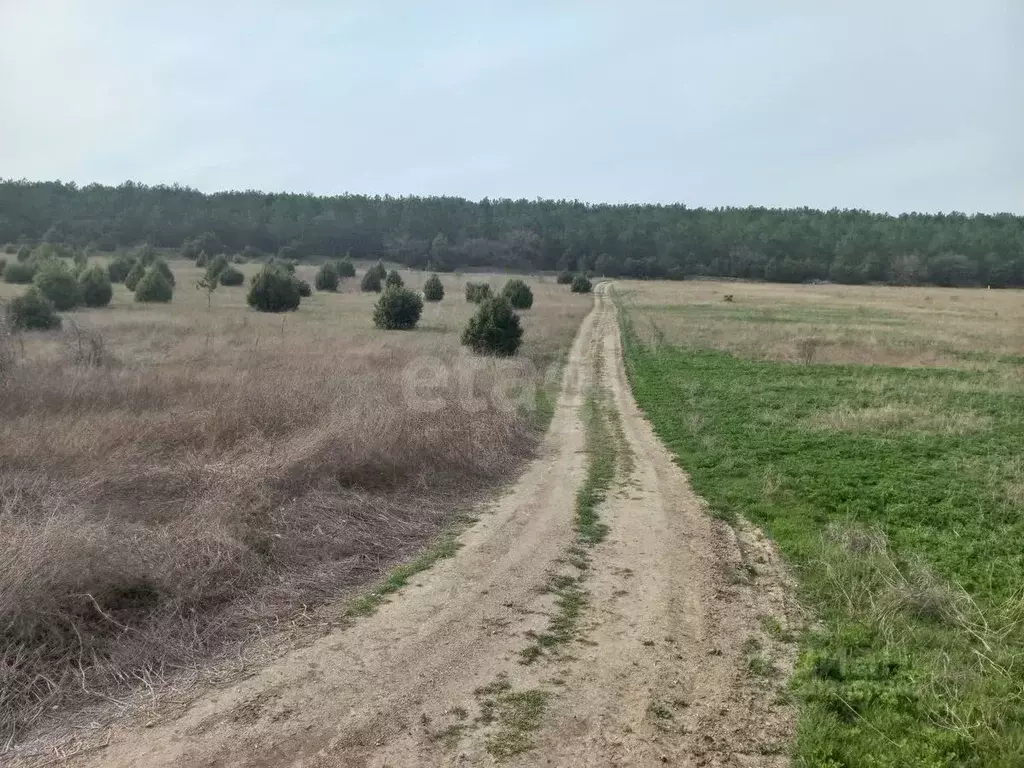 Участок в Севастополь Балаклавский р-н, Терновский муниципальный ... - Фото 1