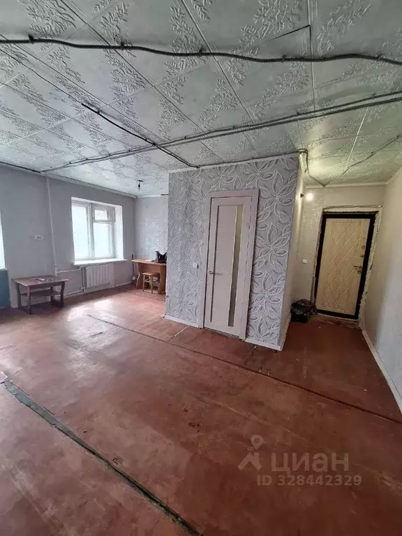 Студия Амурская область, Райчихинск ул. Победы, 58 (27.7 м) - Фото 2