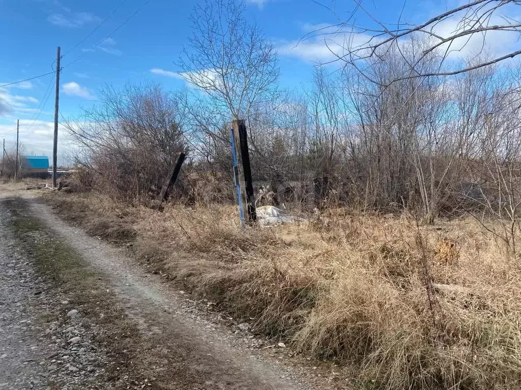 Участок в Иркутская область, Усольский район, Большееланское ... - Фото 2