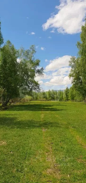 Участок в Алтай, Усть-Коксинский район, с. Горбуново  (224.0 сот.) - Фото 1