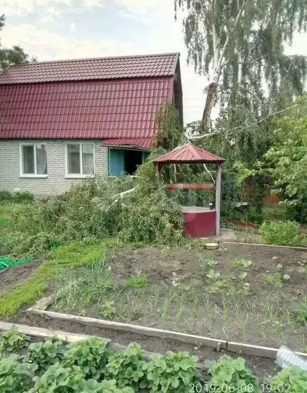 Дом в Курган, садоводческий кооператив Тимирязевец (37.1 м) - Фото 1
