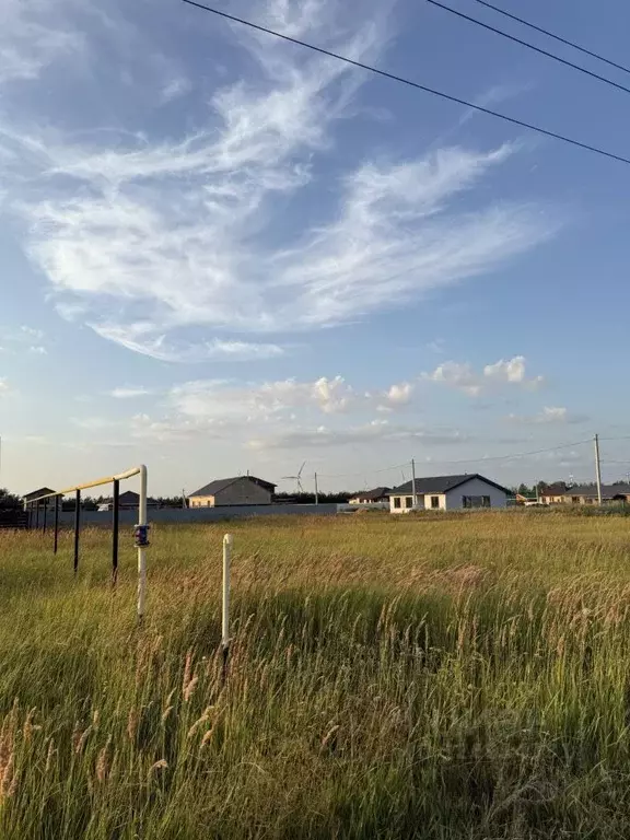 Участок в Ульяновская область, Чердаклинский район, Красноярское ... - Фото 1