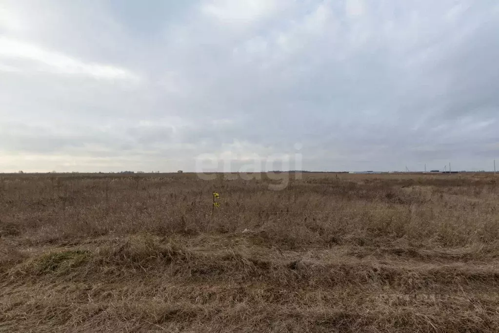 Участок в Тюменская область, Тюмень  (8.95 сот.) - Фото 1