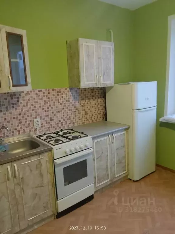 1-к кв. Воронежская область, с. Новая Усмань ул. Полевая, 48 (38.0 м) - Фото 1