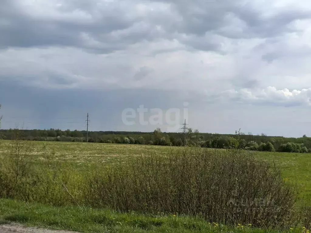 Участок в Ярославская область, Ярославский муниципальный округ, ... - Фото 1