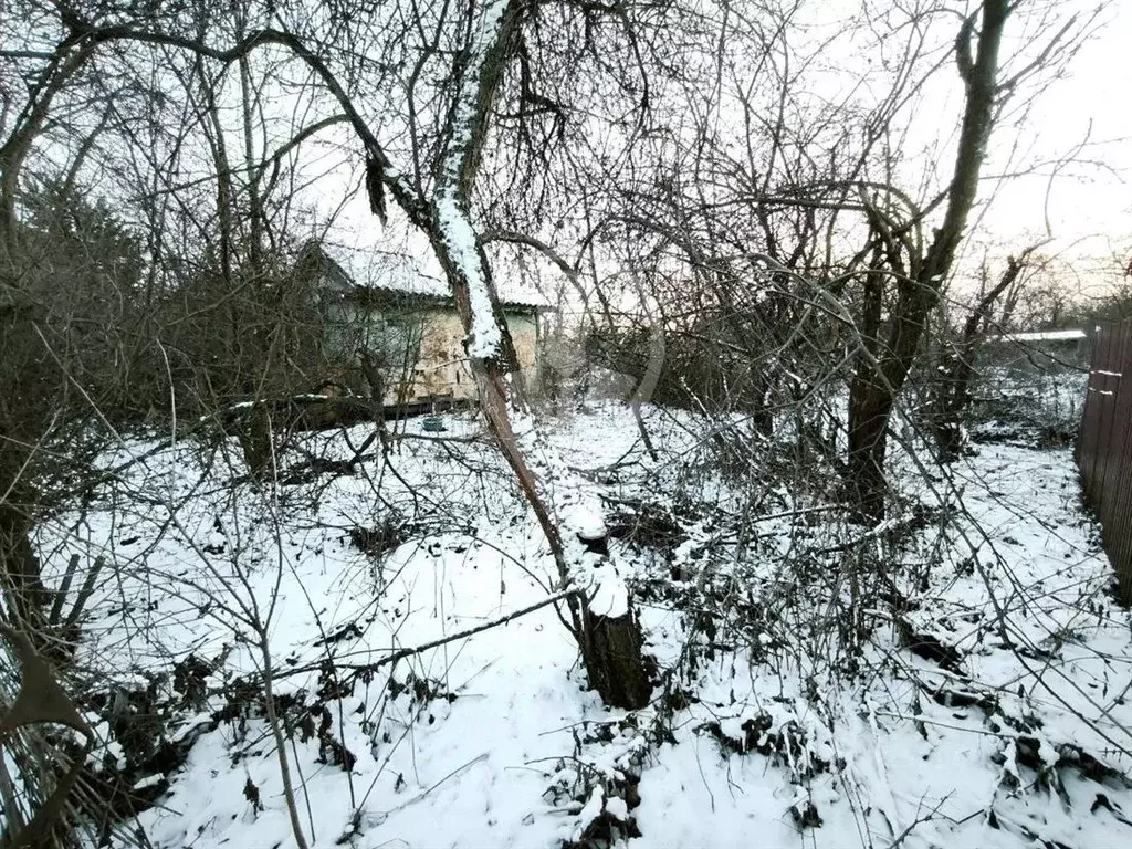 Участок в Рязанская область, Рязань Виктория СТ, 76 (6.4 сот.) - Фото 2