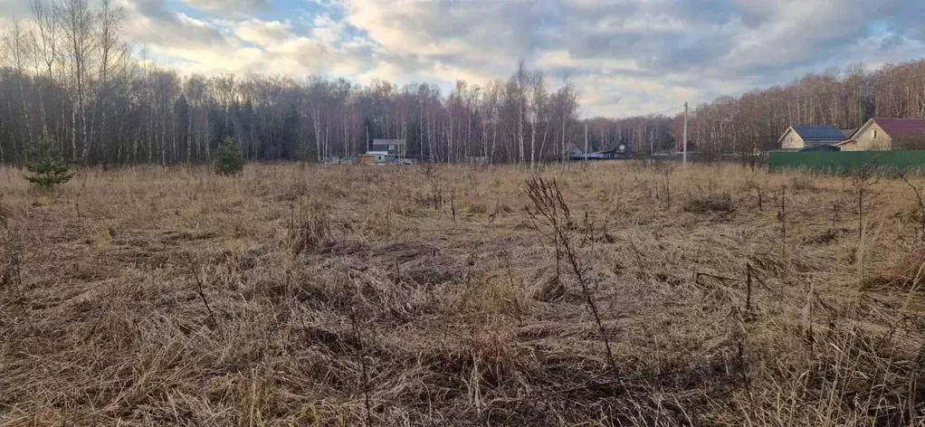 Участок в Московская область, Домодедово городской округ, с. Добрыниха ... - Фото 0