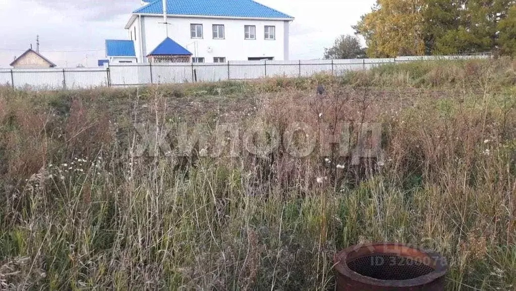 Участок в Новосибирская область, Коченево рп пер. Энергетиков (5.4 ... - Фото 0