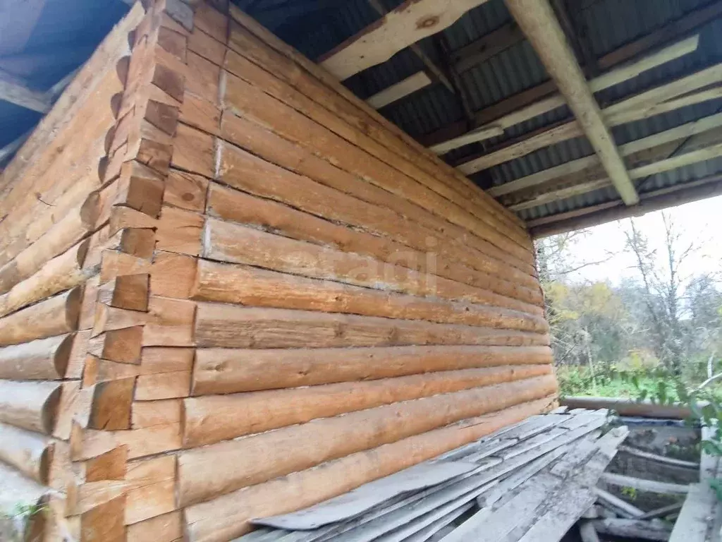 Участок в Псковская область, Плюсский муниципальный округ, д. Должицы ... - Фото 2