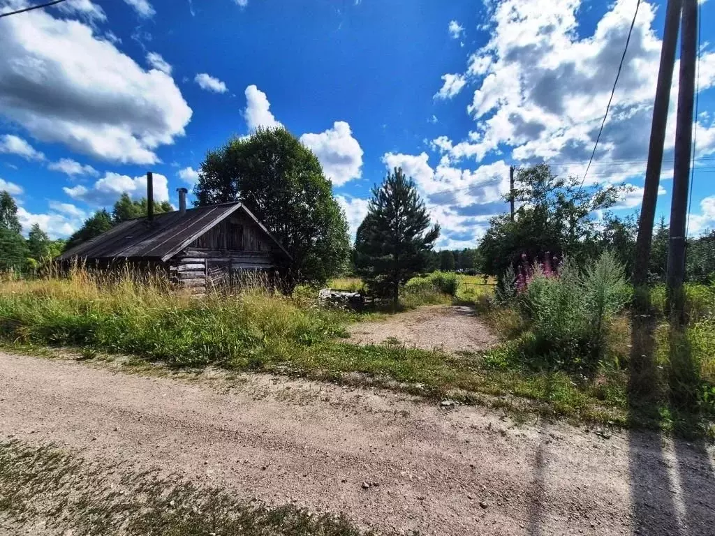 Участок в Ленинградская область, Выборгский район, Каменногорское ... - Фото 1