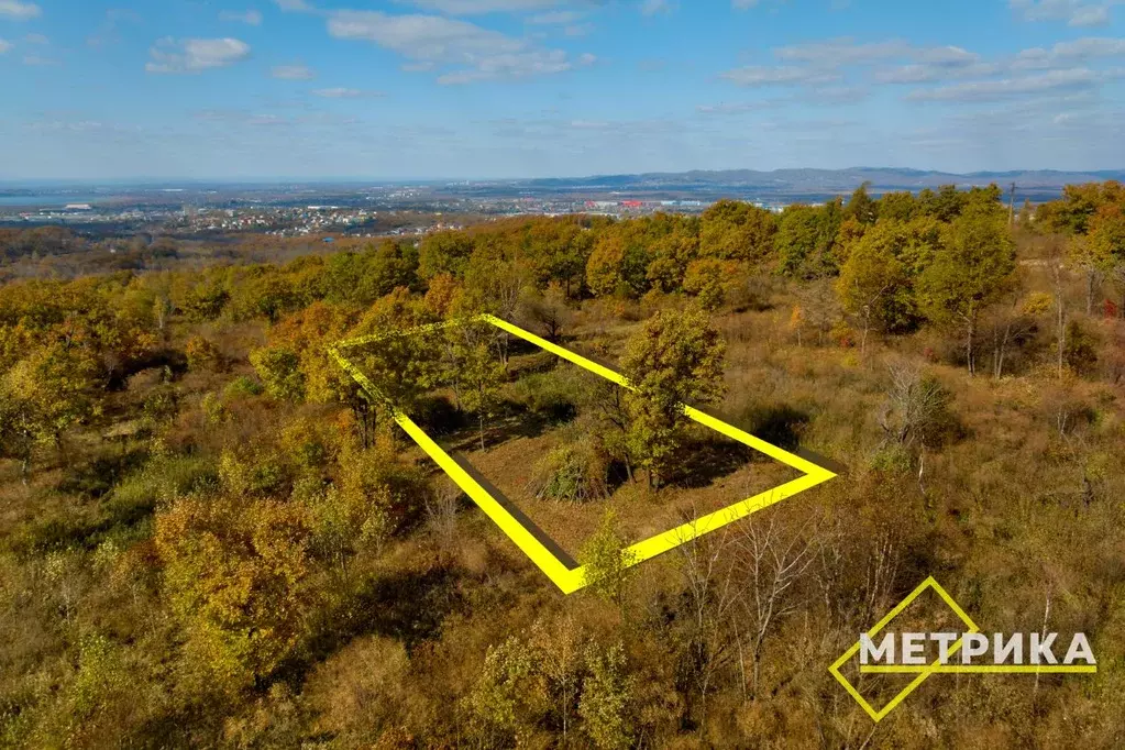 Участок в Приморский край, Артем Солидарность СТ,  (10.0 сот.) - Фото 2