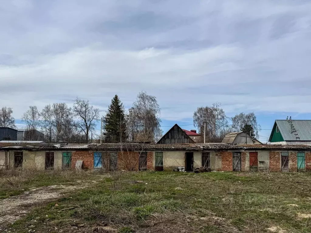 Помещение свободного назначения в Орловская область, Кромы пгт ул. К. ... - Фото 2