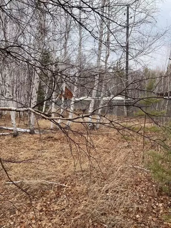 Участок в Забайкальский край, Читинский район, № 7 Карповка СОДНТ 68 ... - Фото 2