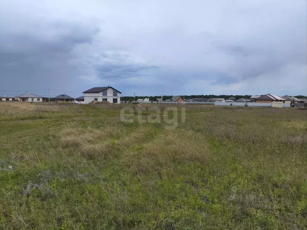 Участок в Курская область, Курский район, Моковский сельсовет, д. 1-я ... - Фото 0