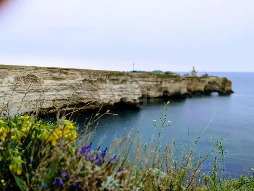 Участок в Крым, Черноморский район, Оленевское с/пос, с. Оленевка ул. ... - Фото 1