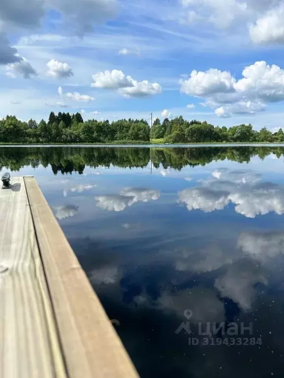Участок в Тверская область, Конаковский муниципальный округ, д. ... - Фото 1