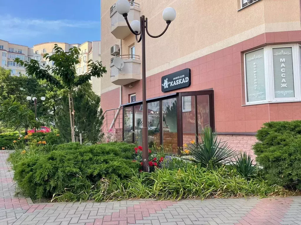 Помещение свободного назначения в Краснодарский край, Геленджик ... - Фото 2