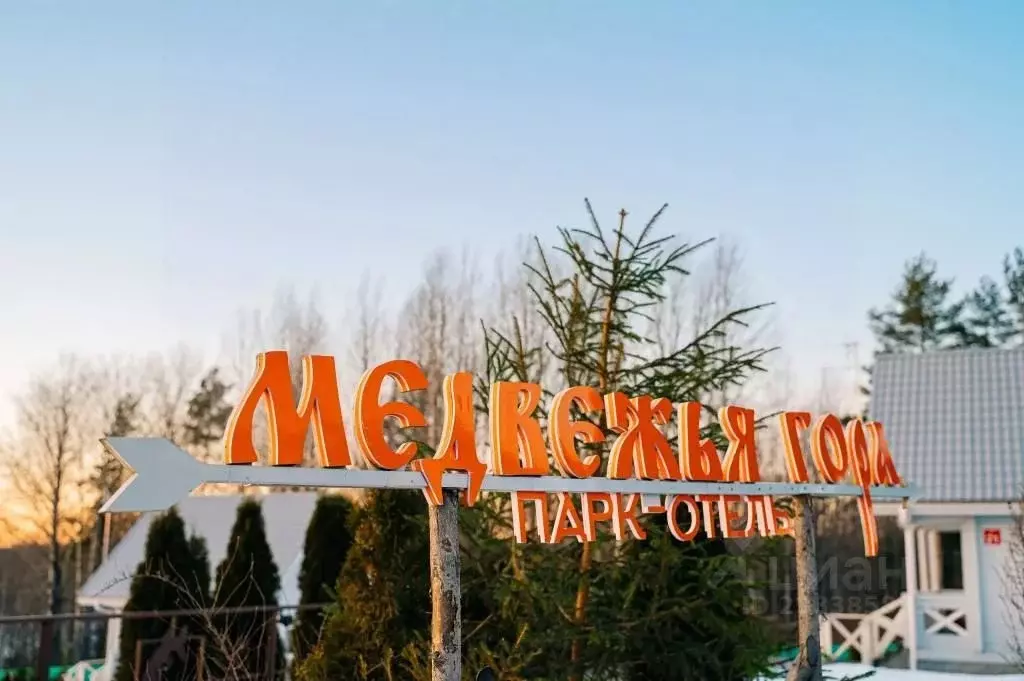 Комната Ленинградская область, Бокситогорский район, Ефимовское ... - Фото 1