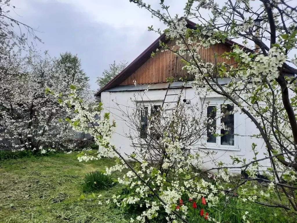 Дом в Ярославская область, Ярославль ул. Рябиновая, 6 (42 м) - Фото 0