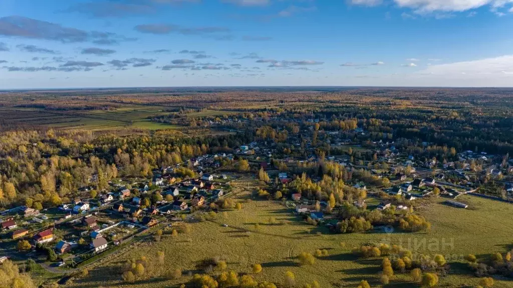 участок в ленинградская область, всеволожский район, куйвозовское . - Фото 1