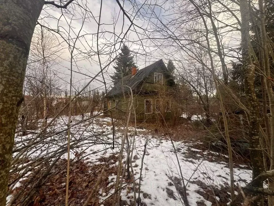 Участок в Ленинградская область, Всеволожский район, Лесколовское ... - Фото 1